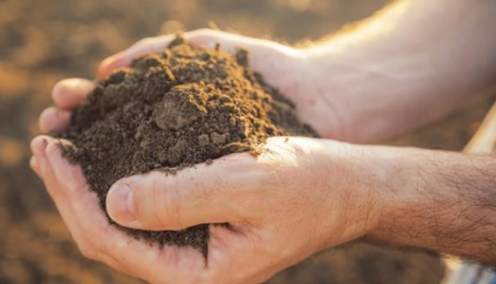 稀土礦多少錢一噸？現(xiàn)在是漲了還是降了？